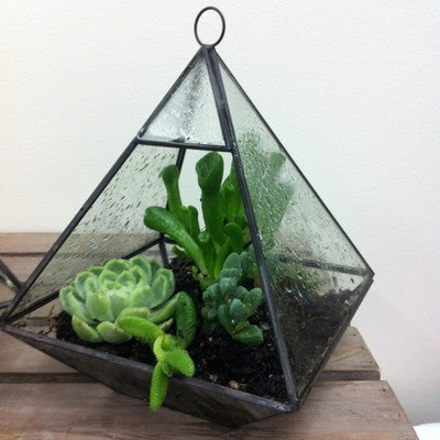 pyramid terrarium